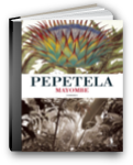 capa do livro mayombe de pepetela