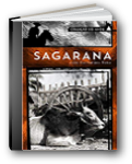 capa do livro Sagarana