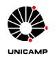 Logo Unicamp